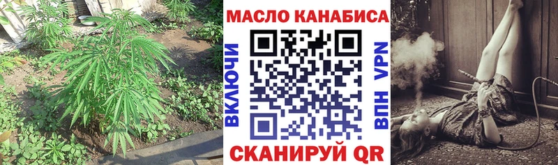 Купить где  Нерехта  ТГК гашишное масло 